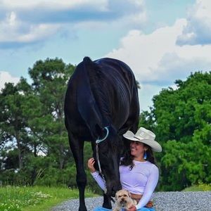 Meet your Posher, Charlotte